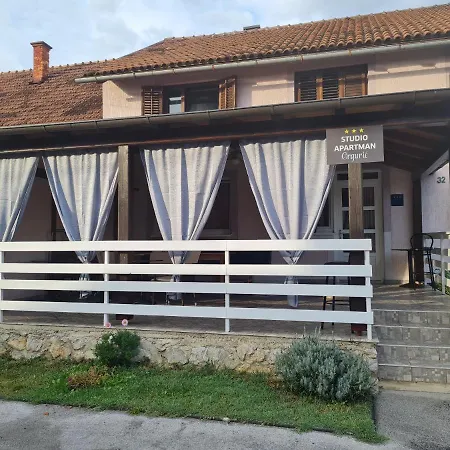 Studio Apartman Grguric Karlovac Exterior foto
